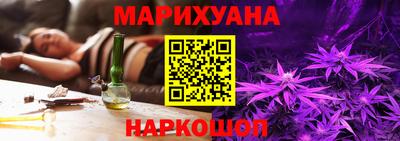 шишки Кандалакша