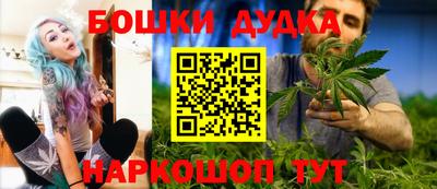 МДПВ Будённовск