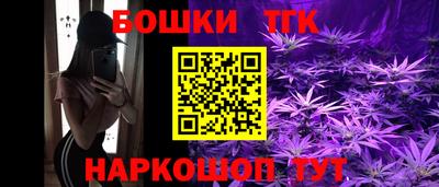 МДПВ Будённовск