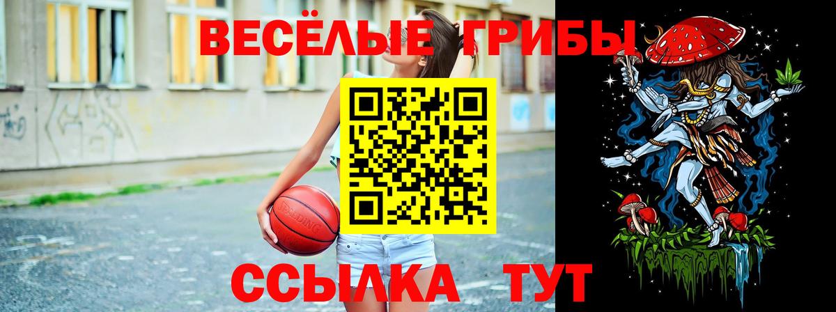 Псилоцибиновые грибы прущие грибы Кубинка